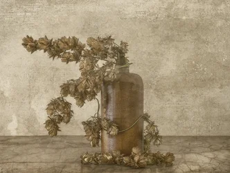 Naturaleza muerta rústica con lúpulo