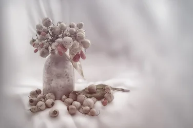 Naturaleza muerta con bayas tiernas