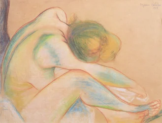 Desnudo secándose