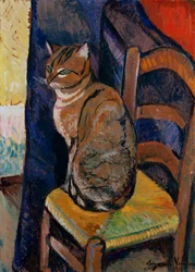 Estudio de un gato sentado en una silla