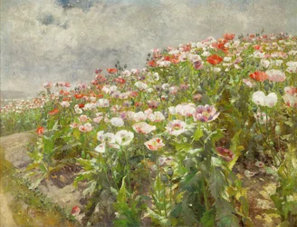 Amapolas en flor (óleo sobre lienzo)