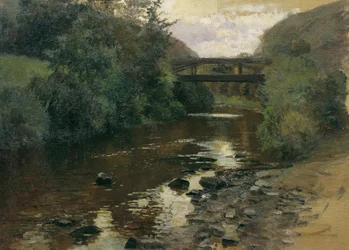 Agua del bosque con un puente