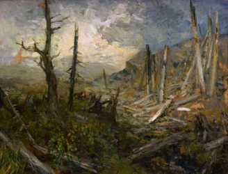 Árboles caídos por el viento en Koralpe