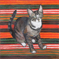 Tabby con rayas