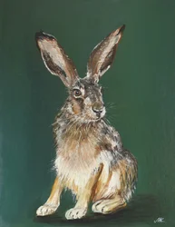 Retrato de liebre parda