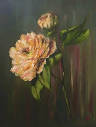 Elegante peonía floral