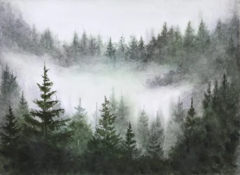 Serenidad del bosque brumoso