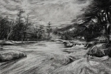 Carbón vegetal Moody River