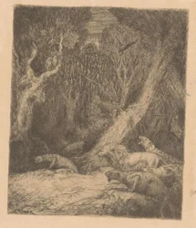 Vida silvestre en el bosque