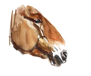 Cabeza antigua (Przewalski) 2012
