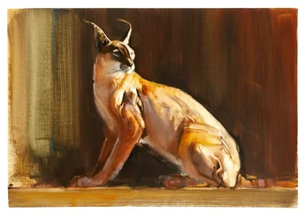 Caracal árabe, 2010