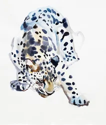 Leopardo árabe
