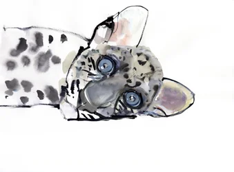 Leopardo árabe, 2008