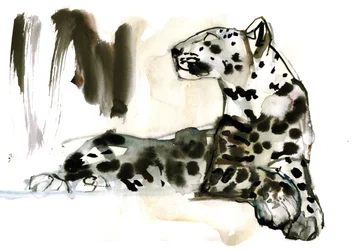 Leopardo árabe, 2008