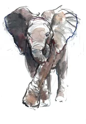 Carga de Bebé, 2018