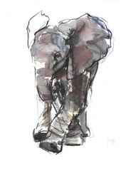 Estudio de Elefante Bebé