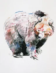 Oso