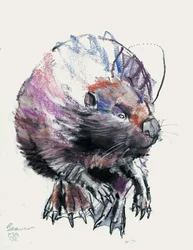 Castor, 2001