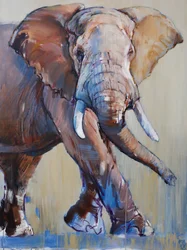 Gran Toro, Suiyan, 2018
