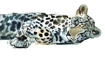 Siesta rota, 2015