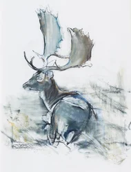 Ciervo en la hierba, 2006