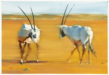 Órix árabe en círculo