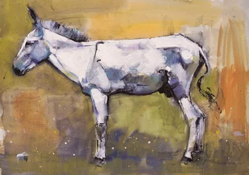 Burro Semental, Ronda