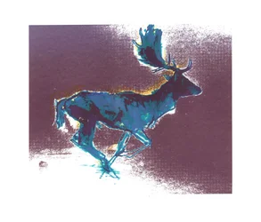 Gamo macho (sombra azul y amarilla), 2015