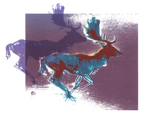 Ciervos en reposo (azulrojo, púrpura), 2015