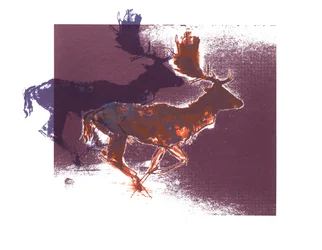 Ciervos Fallow (orangelilac), 2015, (serigrafía)