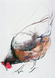 Gallina alimentándose, Trasierra, 1998