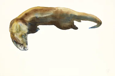 Oro, acuarela sobre papel (2014)