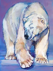 Gran oso blanco