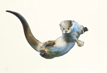 Cazador, 2014