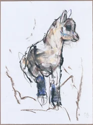 Cabrito de íbice