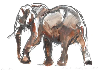 Conservación de Loisaba, 2018