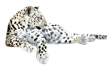 Largo (Leopardo Árabe), 2015