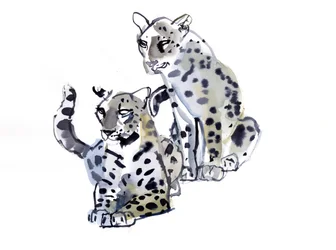 Madre e hijo (leopardos árabes), 2008