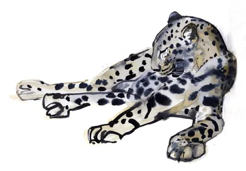 Reclinada (Leopardo Árabe)