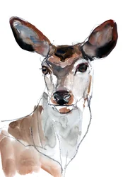 Red Deer, 2023