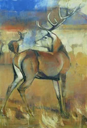 Ciervo Rojo, del Rebaño de Ciervos (detalle)