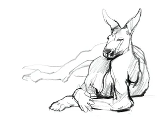 Atleta Descansando (Canguro Rojo), 2012