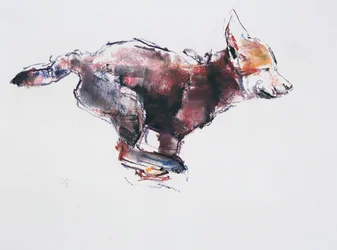 Cachorro de Lobo Corriendo