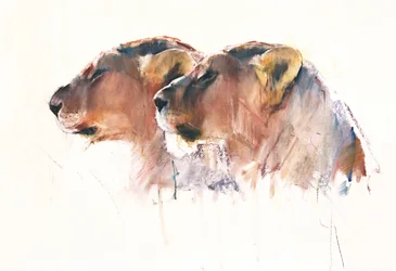 Hermanas, Etosha