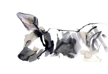 Hiena durmiendo, 2010