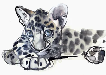 Spotty (cachorro de leopardo árabe), 2008