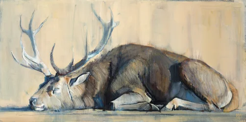 Ciervo, 2014