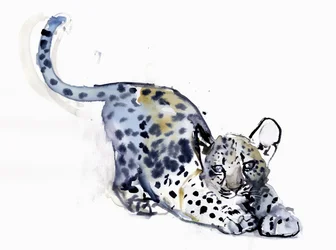 Cachorro estirándose (Leopardo árabe), 2008