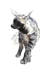Cachorro de hiena rayada, 2010