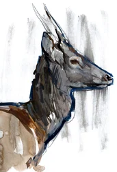 Interruptor (perfil), 2023